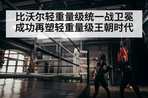 boxer training